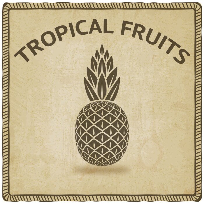 Sticker Retro graphics met ananas en letters