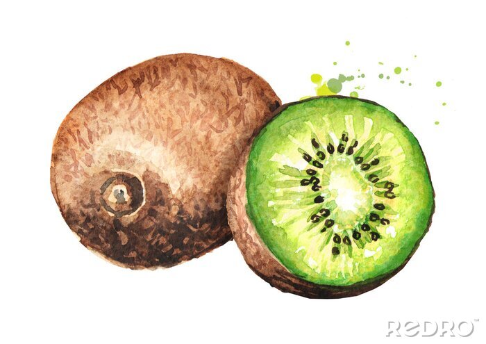 Sticker Rijp geheel kiwifruit en half kiwifruit. Aquarel hand getekende illustratie op een witte achtergrond