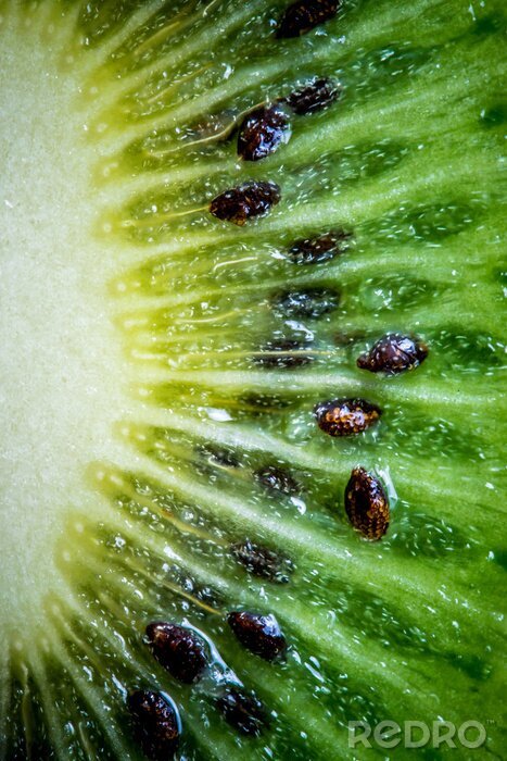 Sticker Rijpe groene kiwi. Fruit close-up