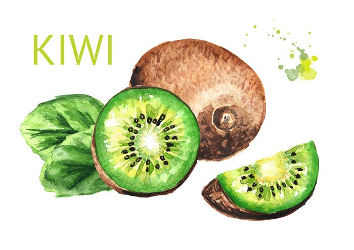 Sticker Rijpe hele kiwi's en halve en plak kiwi's. Aquarel hand getekende illustratie op een witte achtergrond