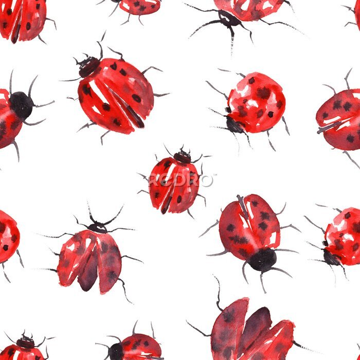 Sticker Rode aquarel lieveheersbeestjes op witte achtergrond