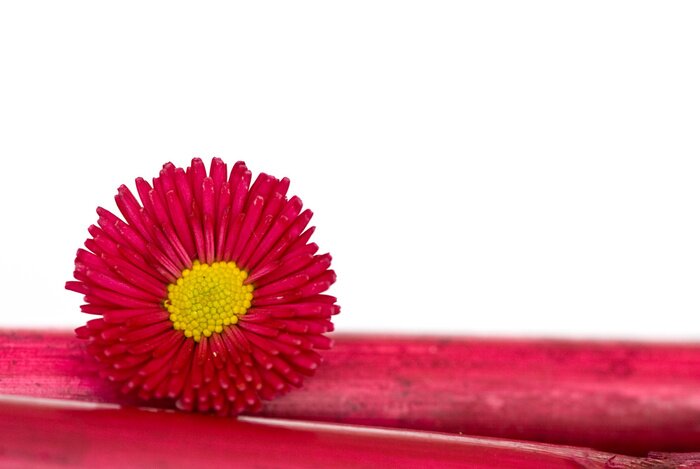 Sticker Rode bloem op bamboe