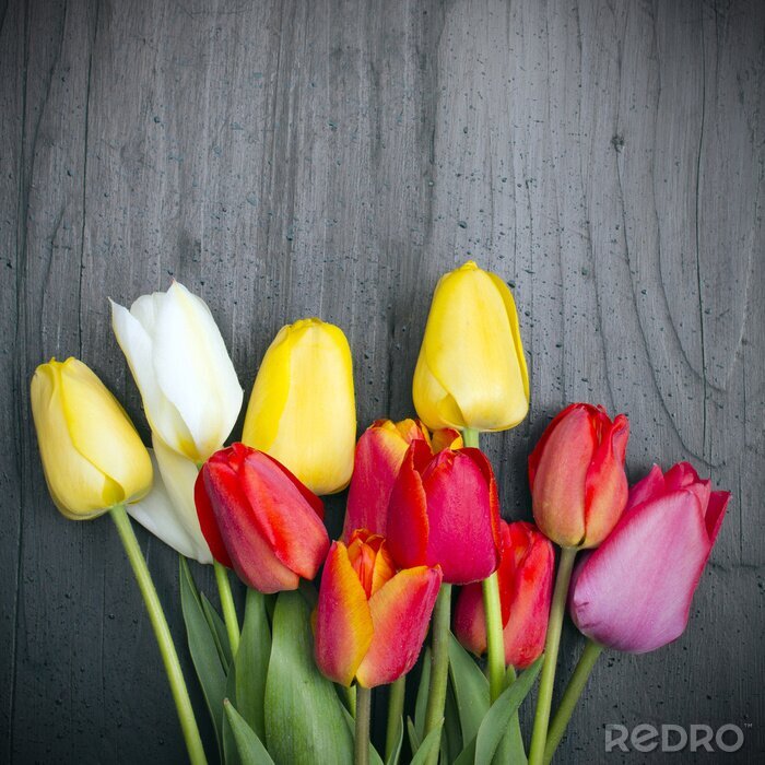 Sticker Rode, gele en witte tulpen