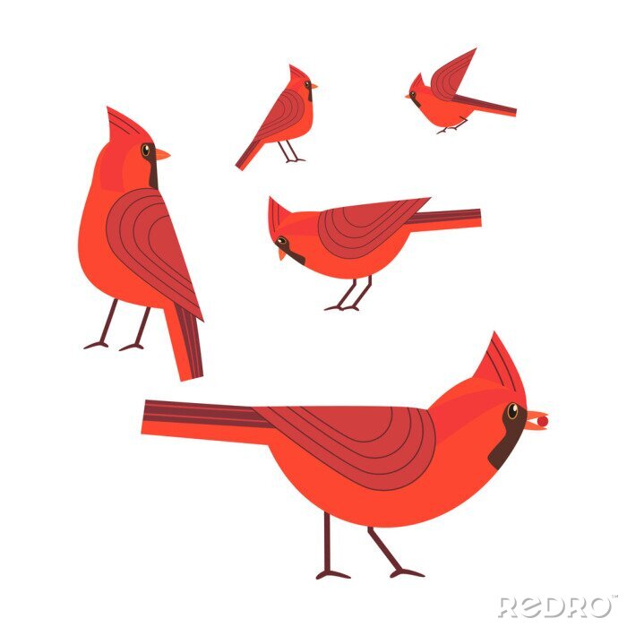 Sticker Rode kardinaal vogels pictogramserie. Cartoon leuke stijl uit de vrije hand. Wintervogels van stadstuin, parkencollectie. Gestileerd dierenembleem. Element voor banner achtergrond. Vectorontwerp van r