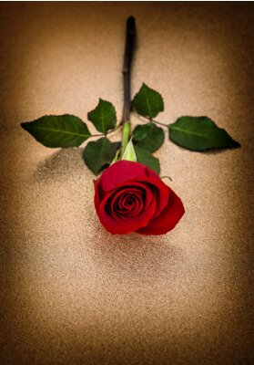 Sticker Rode roos op een gouden achtergrond