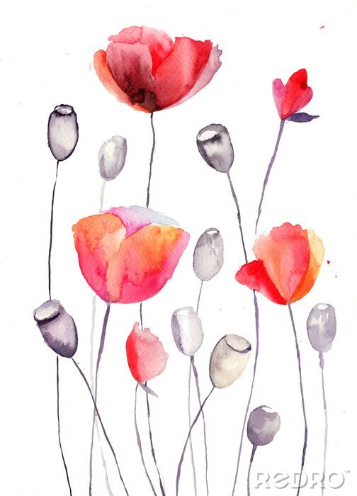 Sticker Rood gearceerde klaprozen en klaprozen