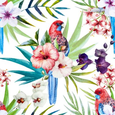 Behang Rosella bird pattern