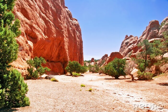 Sticker Rotsen van de Canyon