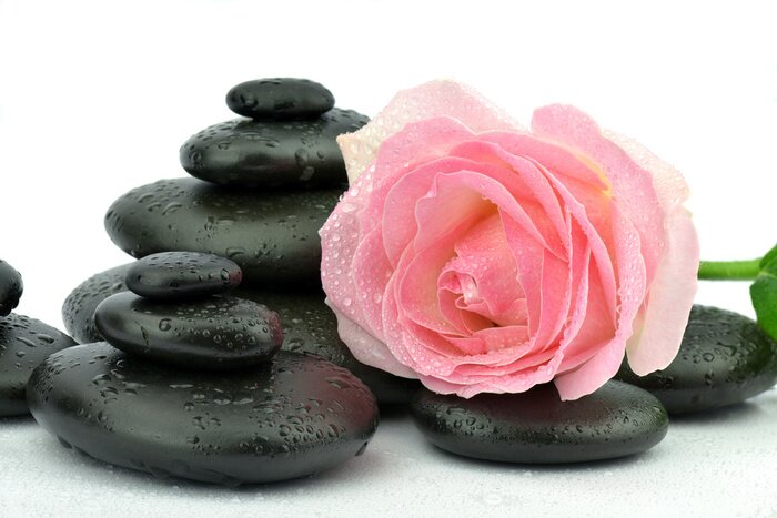 Sticker Róża na kamieniach spa doen