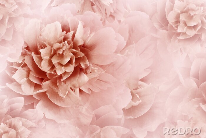 Sticker Roze abstracte pioen