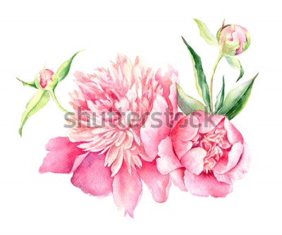 Sticker Roze bloemen met knoppen