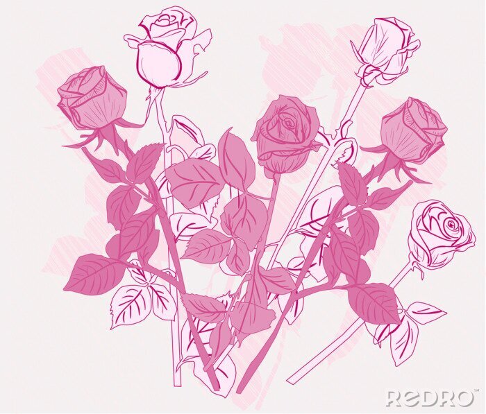 Sticker Roze illustratie met rozen