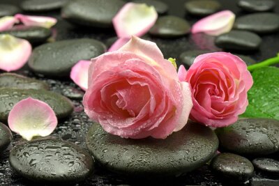 Roze na kamieniach doen spa