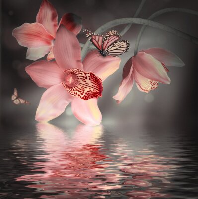 Roze orchideeën en pastelkleurige vlinders