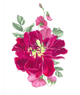 Sticker Roze tulpen met knoppen