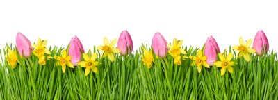 Sticker Roze tulpen met narcissen