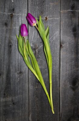 Sticker Roze tulpen op een houten achtergrond
