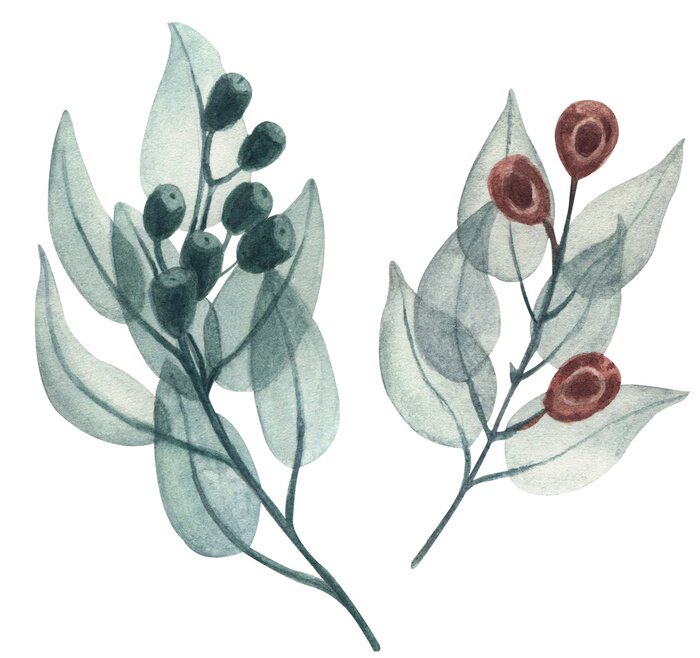 Sticker Rustieke aquarel takjes