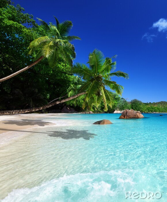 Sticker Rustig zeelandschap van gouden strand
