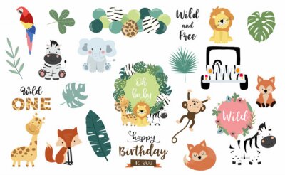 Sticker Safari object set with fox,giraffe,zebra,lion,leaves,elephant. illustration for logo,sticker,postcard,birthday invitation.Editable element
