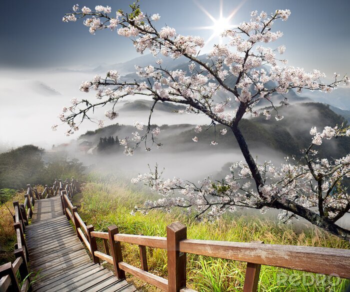 Sticker Sakura briefkaart voor adv of anderen doel te gebruiken