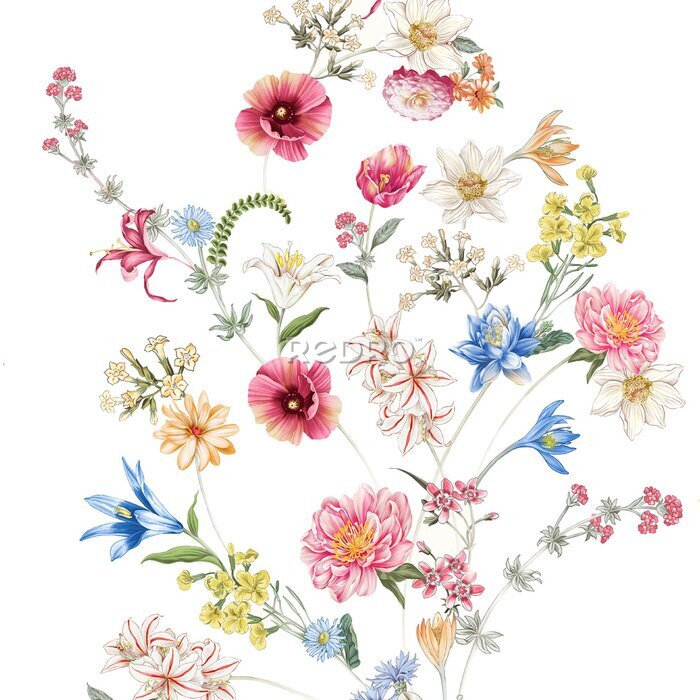 Sticker Samenstelling van kleurrijke wilde bloemen