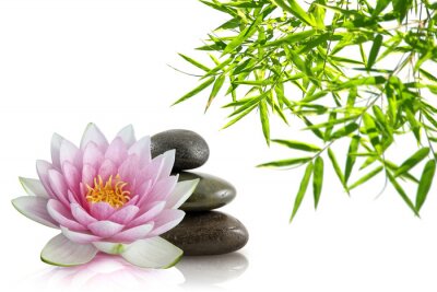 Sticker Samenstelling Zen