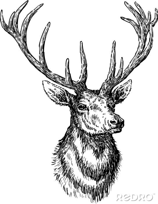 Sticker Scandinavische stijl met zwart-witte herten