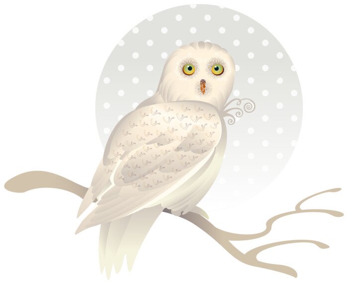 Sticker Schattige witte uil op een tak