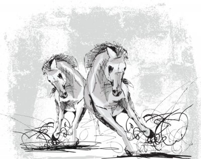 Schets van paarden in beweging