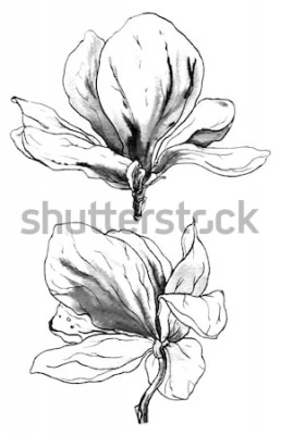 Sticker Schets van twee bloemen