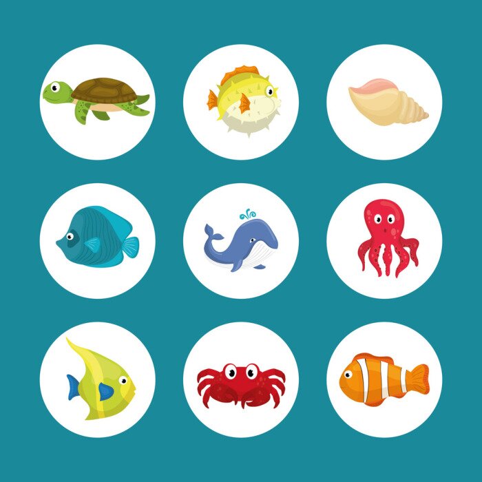 Sticker Sea fauna cartoon