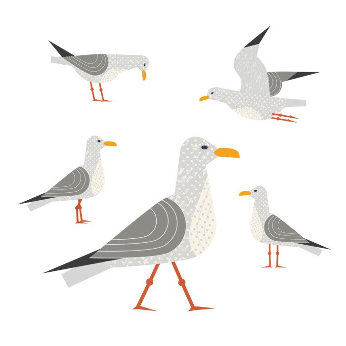 Sticker Seagull icon set. Freehand cartoon schattige stijl. Vliegende vogel logo. Seabird marine symbool geïsoleerd. Gestileerde nautische dier embleem. Element voor banner achtergrond. Vector ontwerp van rec