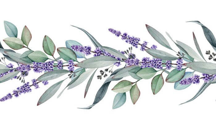 Sticker Seamless border from lavender and eucalyptus watercolor illustration. Natural organic herbs mixed in elegant ornament. Hand drawn eucalyptus branch with lavender flowers in elegant seamless border