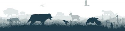 Sticker Seamless panorama of the prarie with grey wolf, pronghorn, kite, bobcat, fox,  western meadowlark , heron, scissor-tailed Flycatcher, Prairie dog and brown zubr buffalo bison