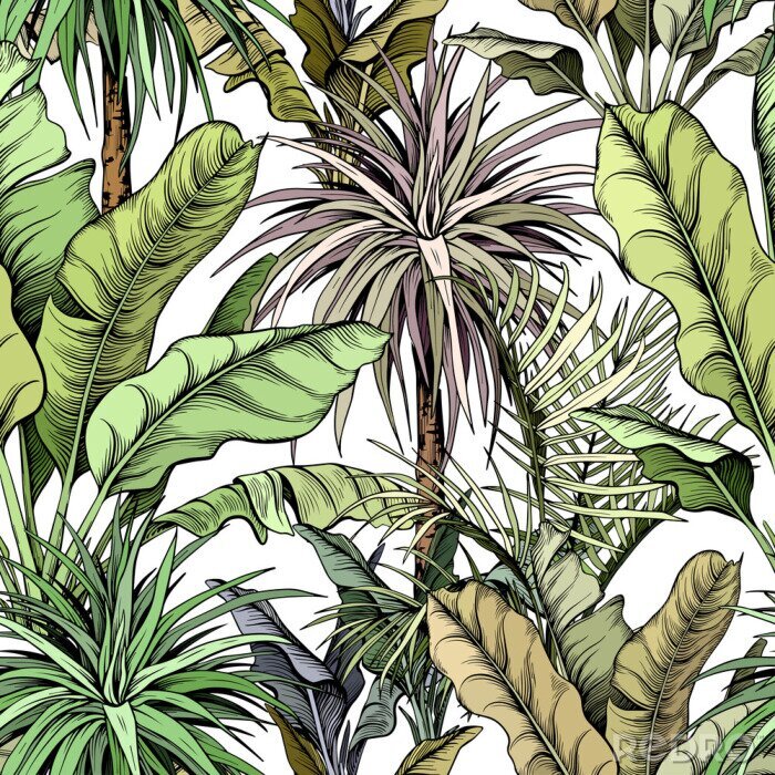 Sticker Seamless pattern with green tropical trees. Yucca plants and large banana leaves. Hand drawn vector illustration.