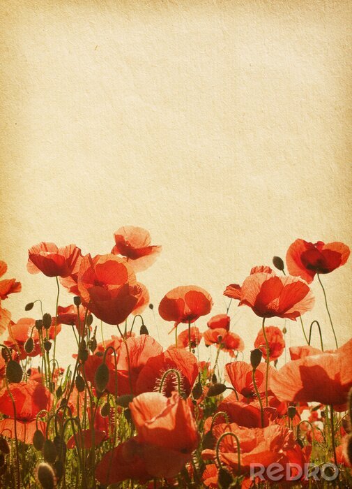 Sticker Sepia bloemen