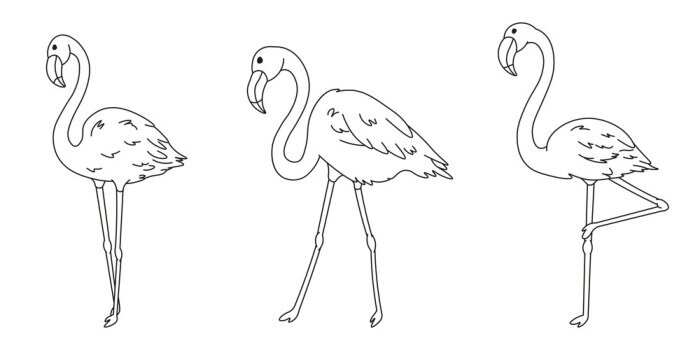 Sticker set of cartoon flamingos black lines silhouettes, cute wild tropical bird for kids coloring book, decoration, editable vector illustration