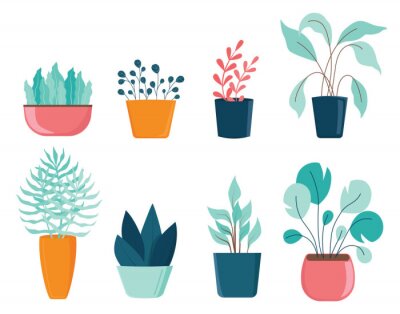 Sticker Set of different house plants with green leaves in pots.