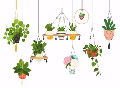Sticker Set of macrame hangers for plants growing in pots. Flowerpot isolated objects, houseplant flower pot collection.
