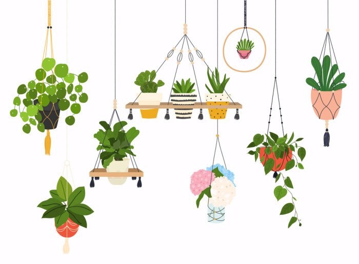 Sticker Set of macrame hangers for plants growing in pots. Flowerpot isolated objects, houseplant flower pot collection.