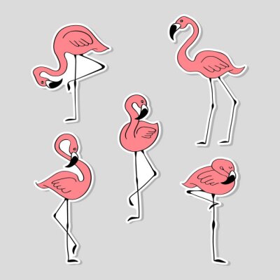 Sticker Set of stickers with hand drawn pink flamingo. Collection of labels with cute cartoon birds isolated on grey background. Vector illustration.