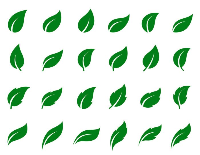 Sticker set van blad iconen