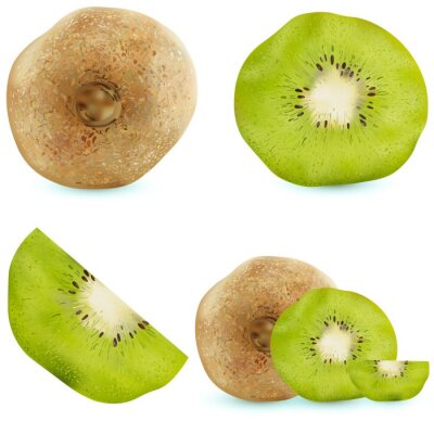 Sticker Set van realistische kiwi. Vector illustratie, fruit op een witte achtergrond, vitaminen