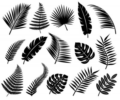 Sticker Set van tropische bladeren. Vector