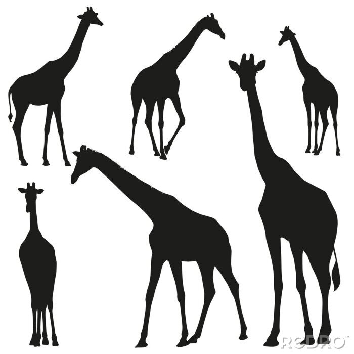 Sticker Set vector silhouetten van giraffen