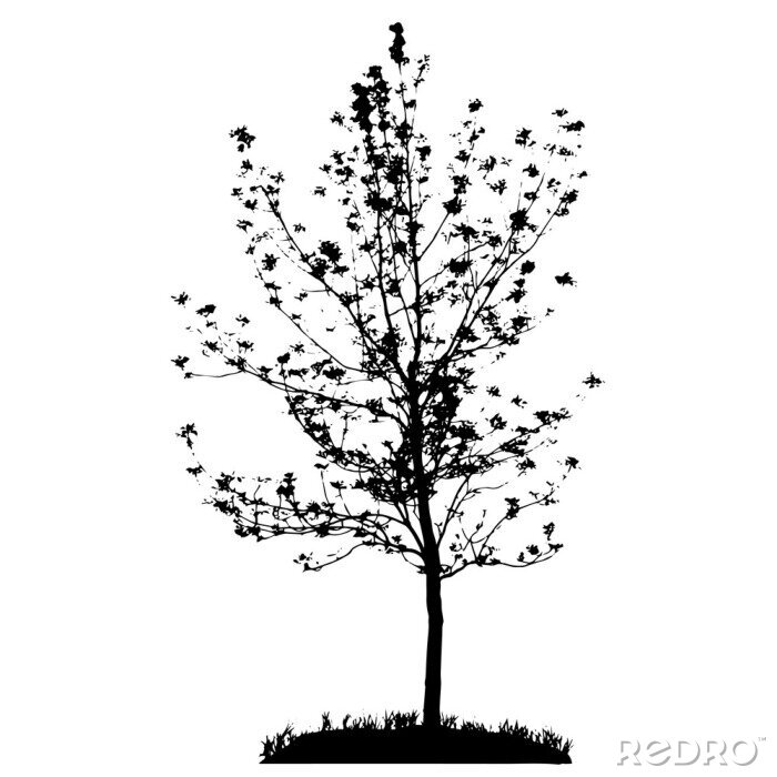 Sticker Silhouet van de boom die op Witte Backgorund. Vecrtor Illustrati