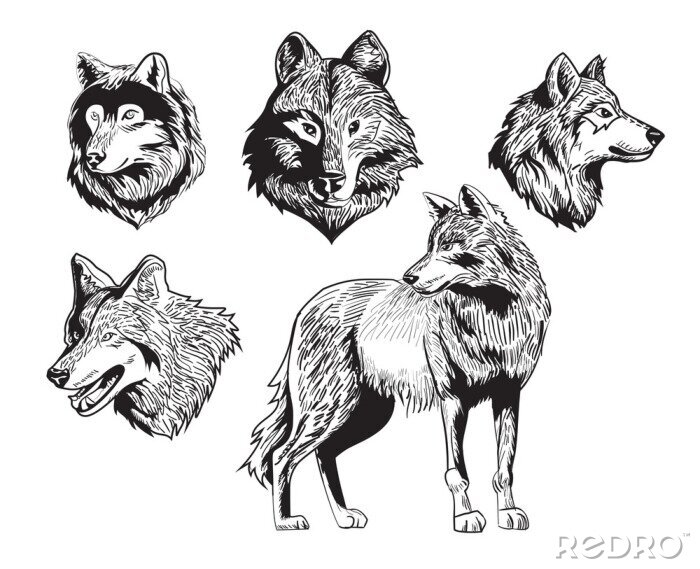 Sticker sketch wolfssilhouet tekening die op witte achtergrond