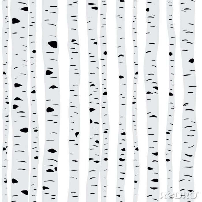 Sticker Slanke berken op een lichte achtergrond