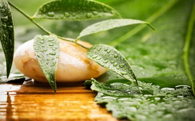 Sticker Spa-behandeling.